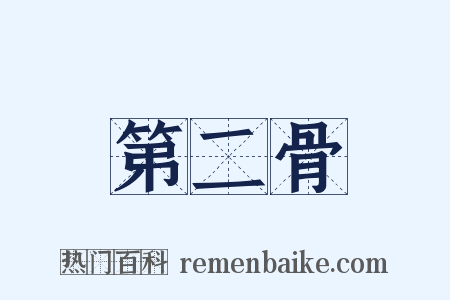 第二骨是什么意思的图片